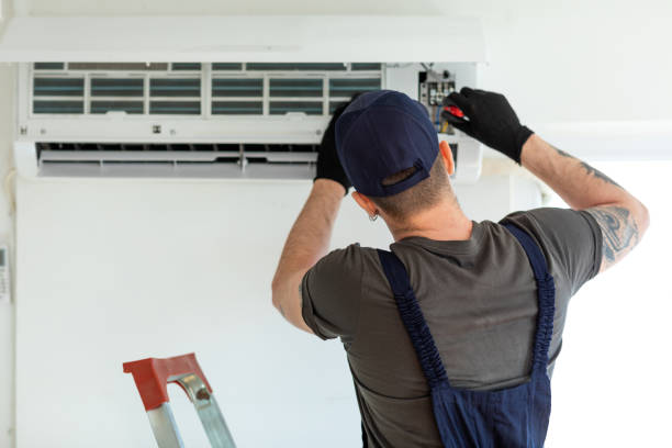 Air Duct Mold Removal in Gladwin, MI