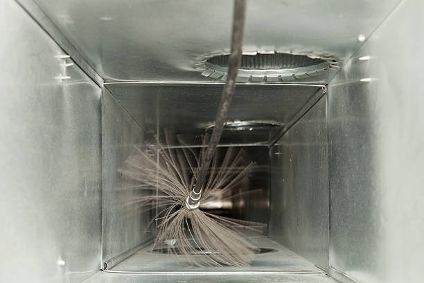 Best Air Duct Mold Removal  in Gladwin, MI
